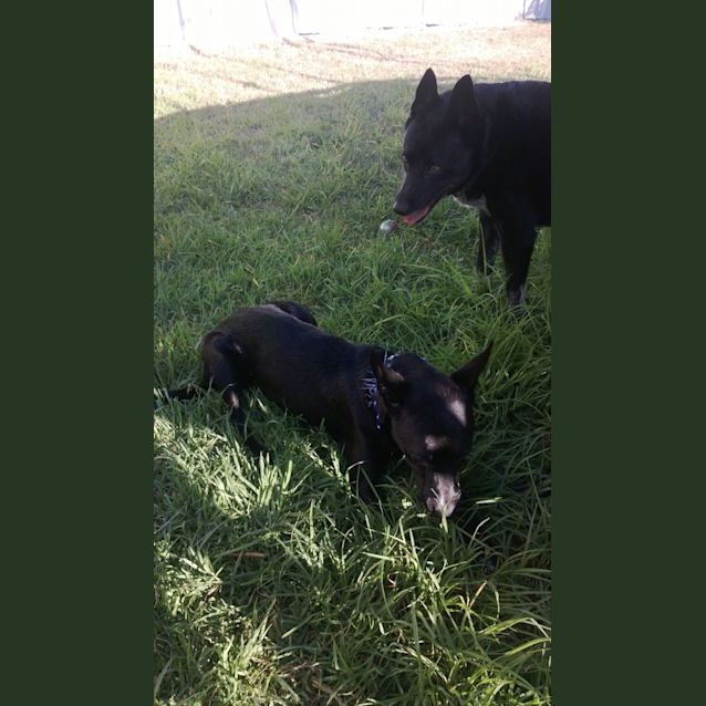 Photo of Footloose ~ Special Girl ~ (On Trial 30/8/14)