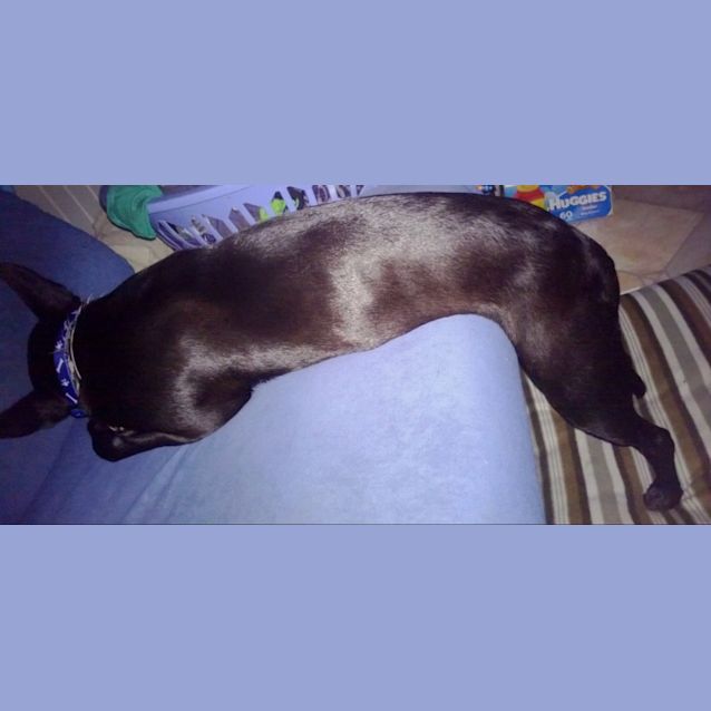 Photo of Footloose ~ Special Girl ~ (On Trial 30/8/14)