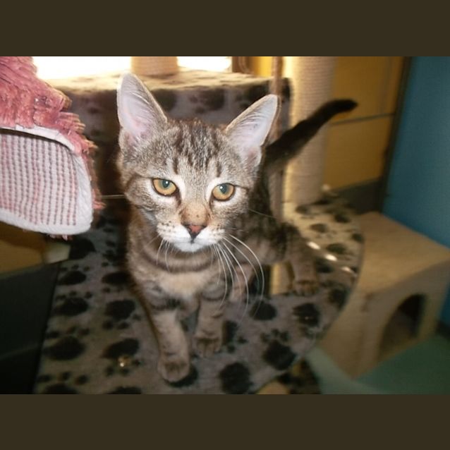 Photo of Winston