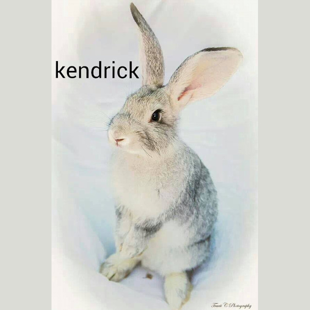Photo of Kendrick