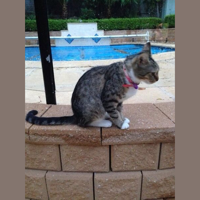 Photo of Tabitha 