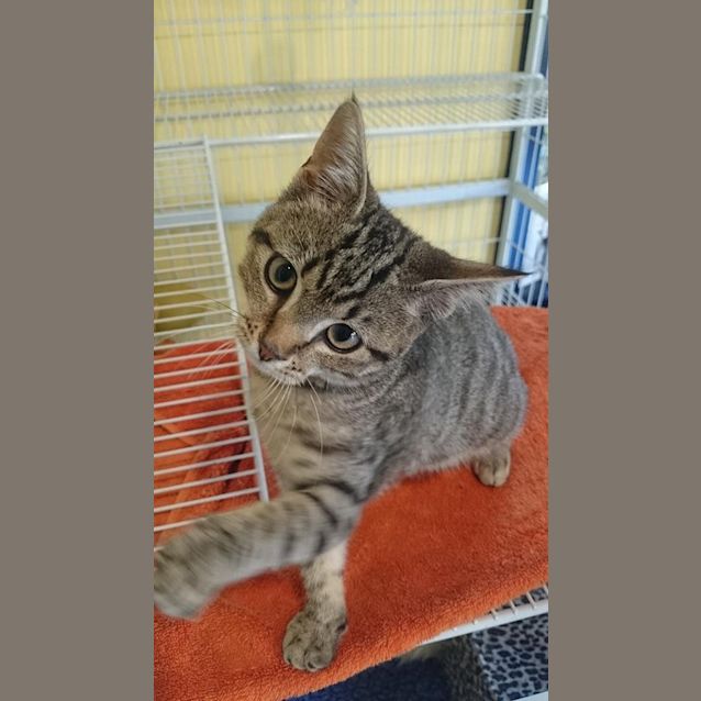 Photo of Marty Mc Fly