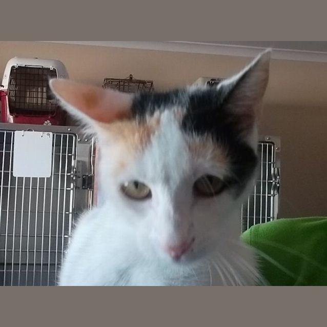 Photo of Hazel