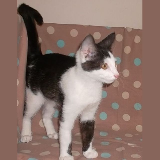 Photo of Purdy