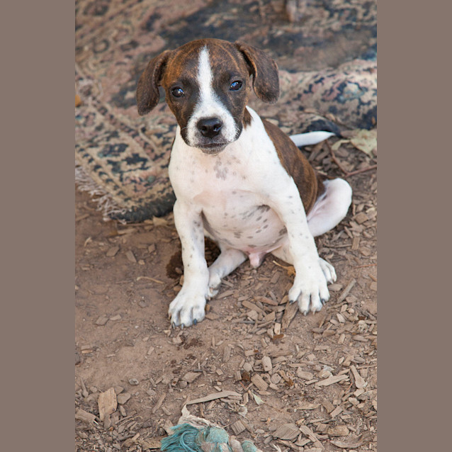 Photo of Godric