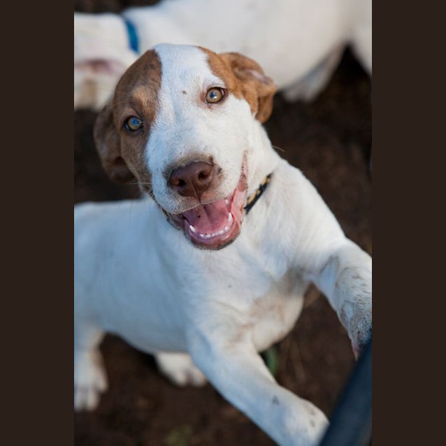 Photo of Marlee