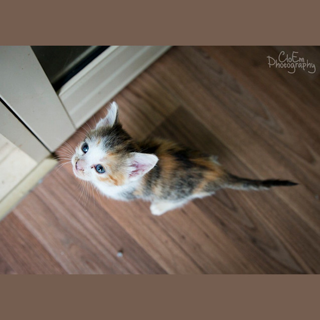 Photo of Anya