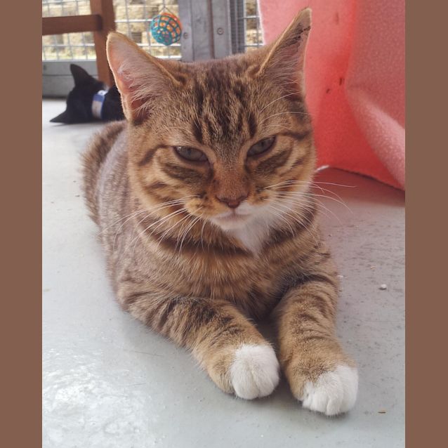 Photo of Mischief