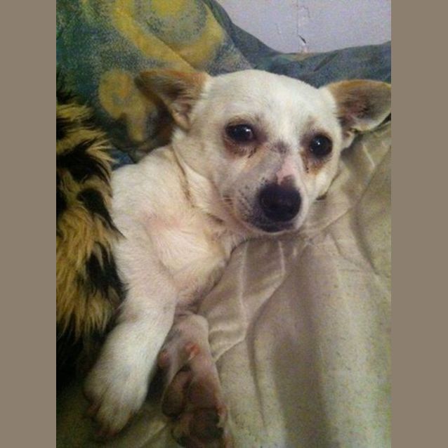 Photo of Taco
