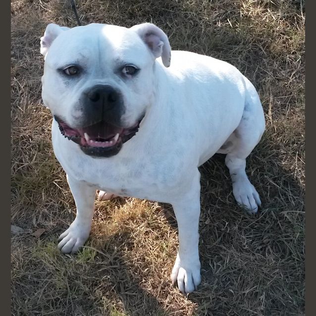 Photo of Abby
