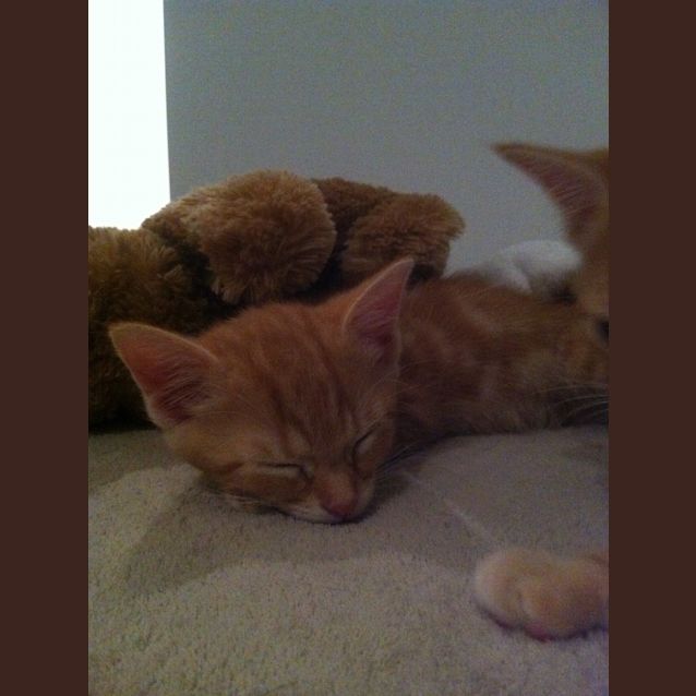 Photo of Clive And Henry