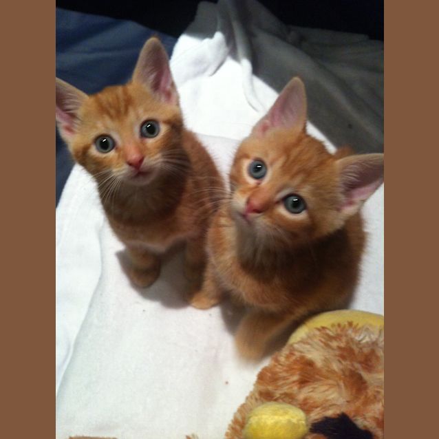 Photo of Clive And Henry