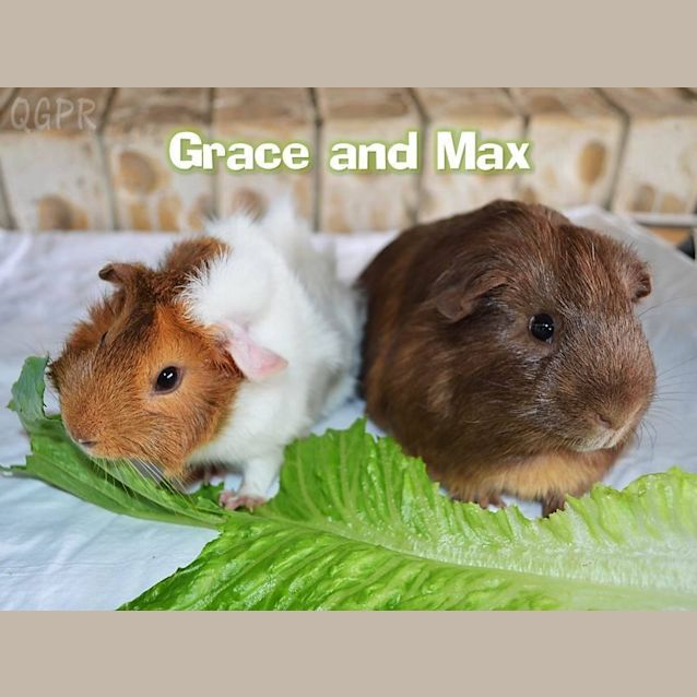 Photo of Grace And Max