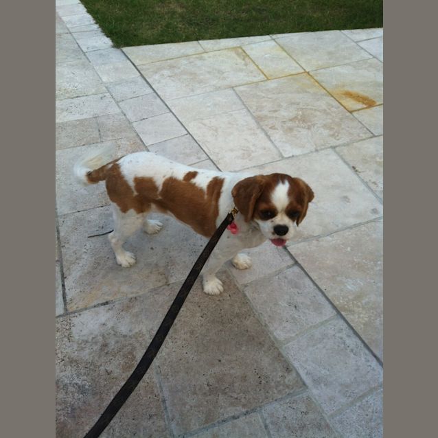 Photo of Roxi