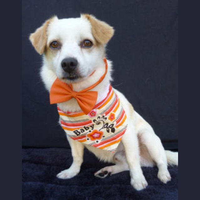 Photo of Barney Rubble