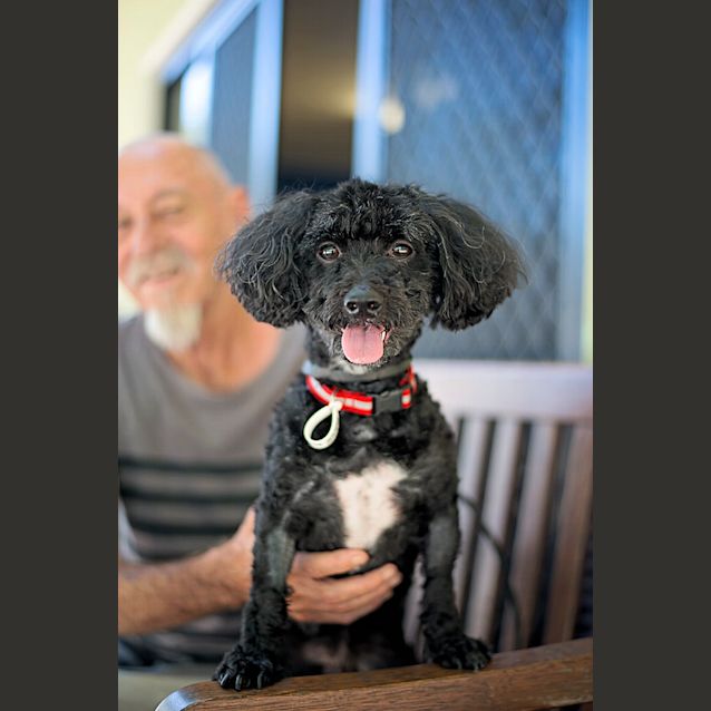 Photo of Grover