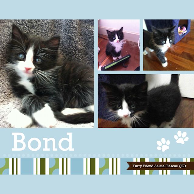 Photo of Bond