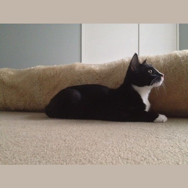 Photo of Byron