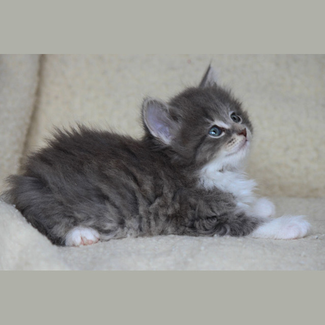 Photo of Ruth (C610)