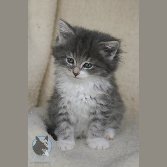 Photo of Ruth (C610)