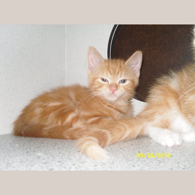 Photo of Jerry