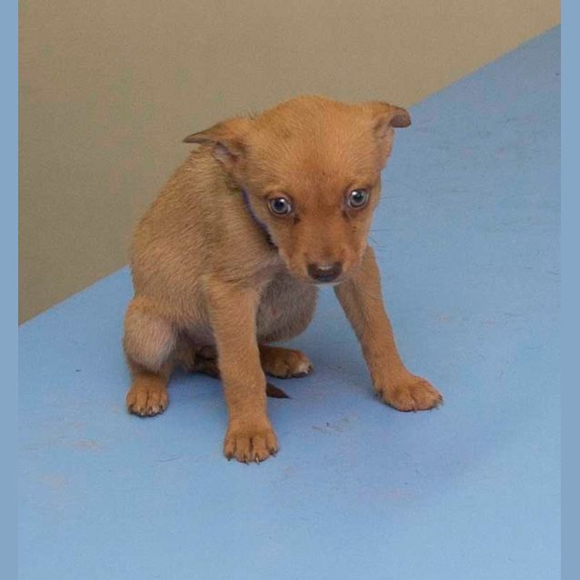 Photo of Vodka