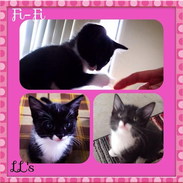 Photo of Fi Fi 