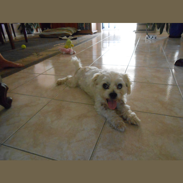 Photo of Percy