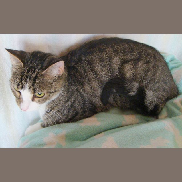Photo of Murphy (E1061)