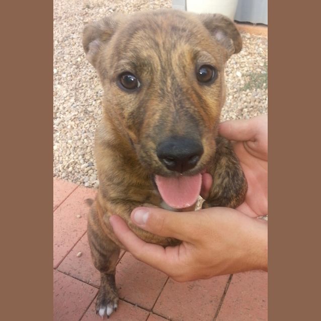 Photo of Happy (1102)