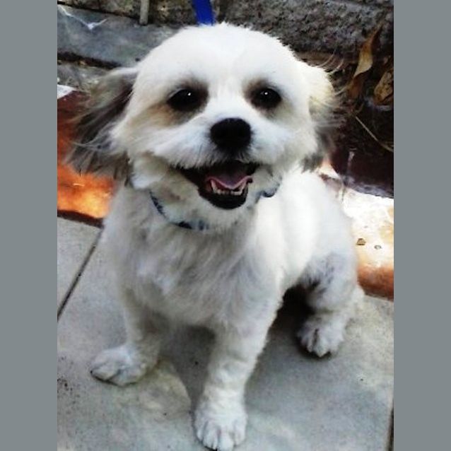 Photo of Molly