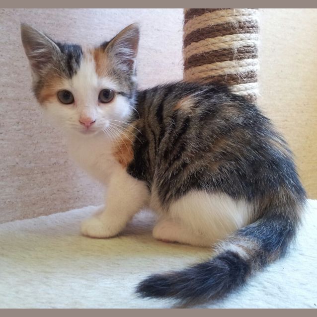 Photo of Jemima