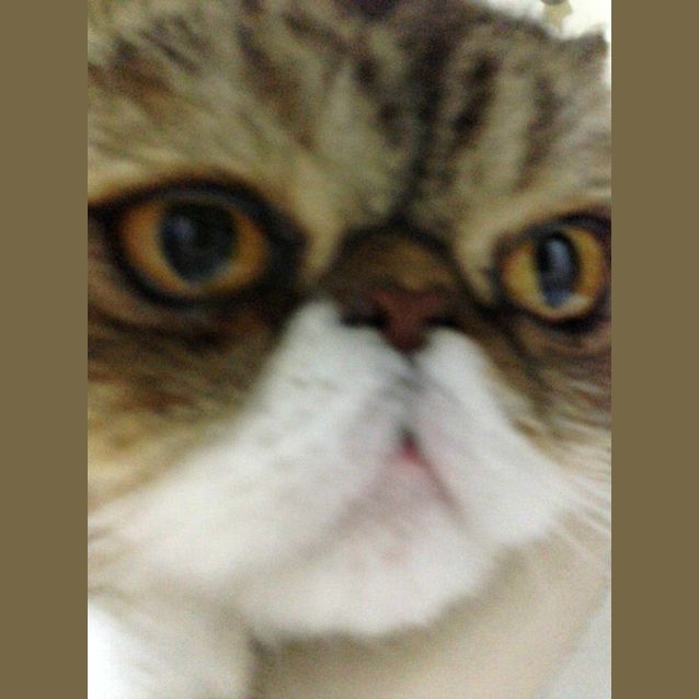 Photo of Thor & Helio