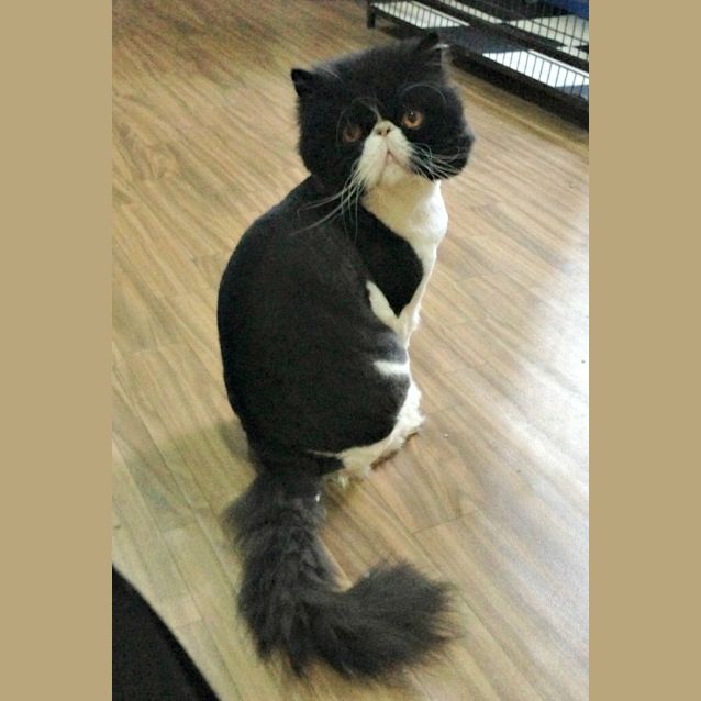 Photo of Thor & Helio