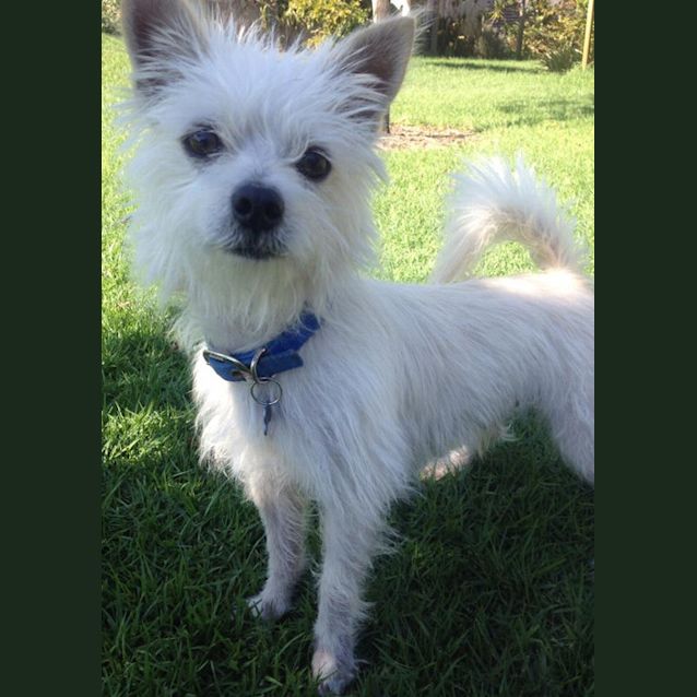 Photo of Freddie
