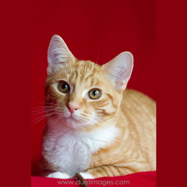 Photo of Jammy  