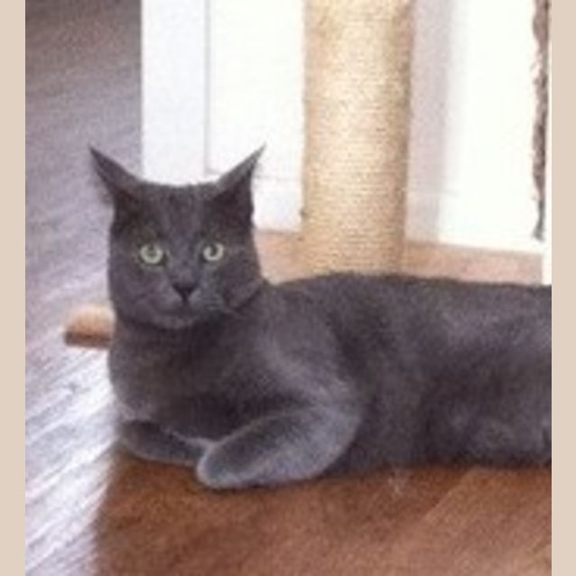 Photo of Solly