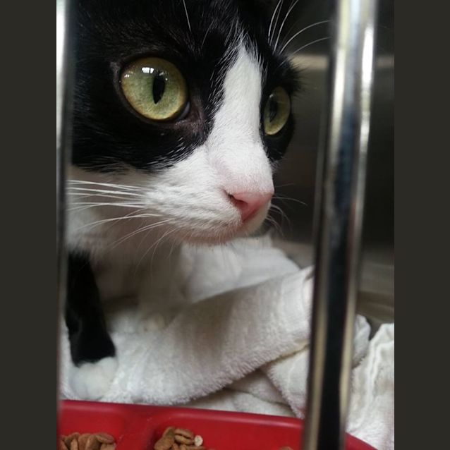 Photo of Tabitha 