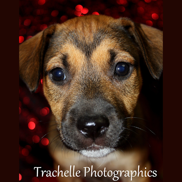 Photo of Neveah