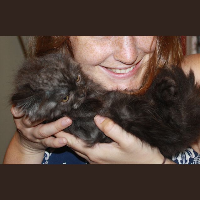 Photo of Little Bear (Pre Adoption)