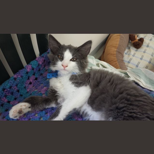 Photo of Fletcher