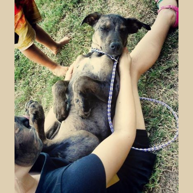 Photo of Lacey