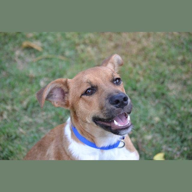 Photo of Chum