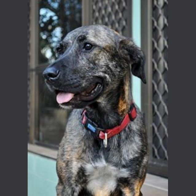 Photo of Ruby