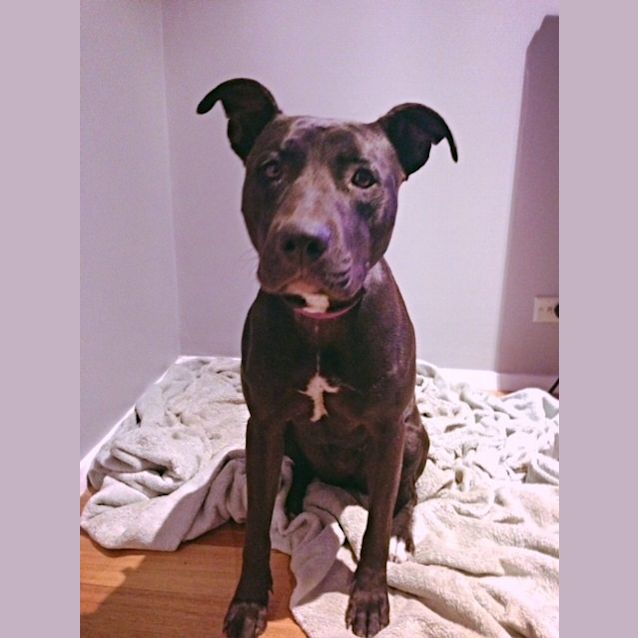 Photo of Beautiful Belle