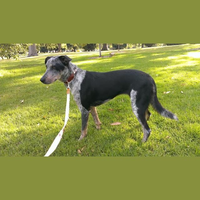Photo of Tilly
