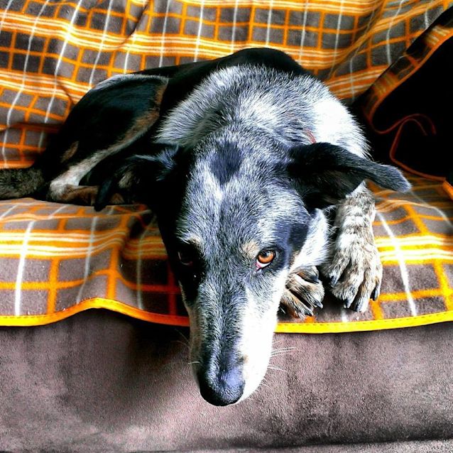 Photo of Tilly