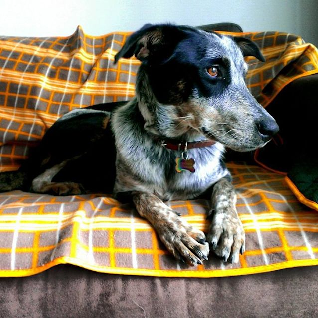 Photo of Tilly