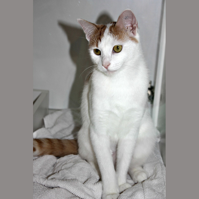 Photo of Sugar