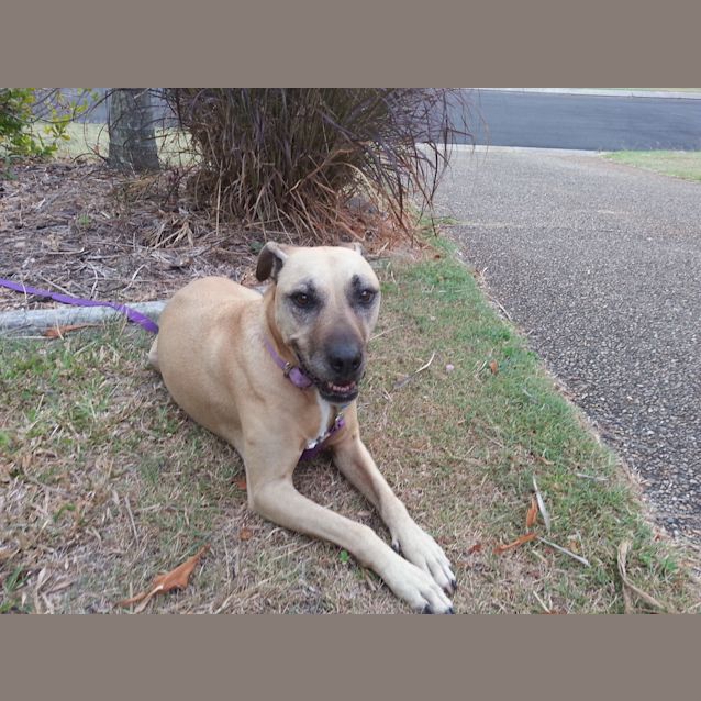 Photo of Mishka